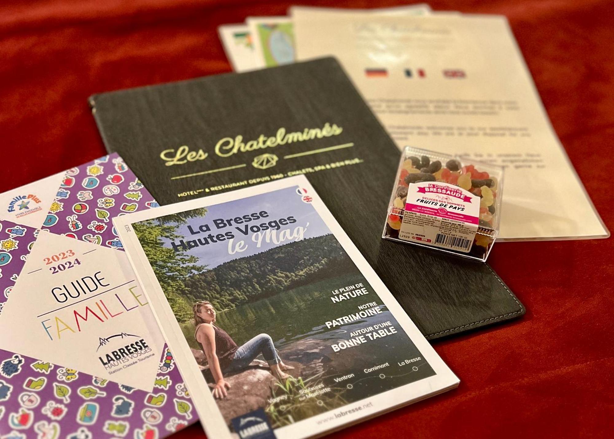 Logis Hotel, Chalets Et Restaurant Les Chatelmines La Bresse Exterior photo